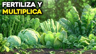 6 Fertilizantes Poderosos para Multiplicar tu Cosecha de Vegetales [upl. by Sueddaht]