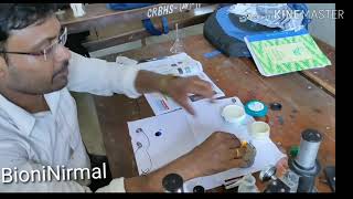 Biology PracticalWBCHSE Class 12Phytoplankton amp Zooplankton in Pond water [upl. by Ayikal]