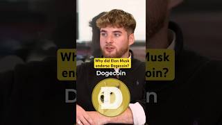 Would you invest in Dogecoin dogecoin crypto cryptocurrency cryptonews cryptotrading elonmusk [upl. by Nicolina]