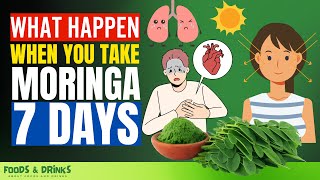 Moringa Benefits 11 Health Benefits You Will Get When You Take 7 Days [upl. by Ellinehc]