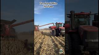 Corn Harvest 2024 near Gettysburg Ohio  Dick Lavy Farms cornharvester farmhandmike [upl. by Saeger]