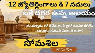 Somasila  Someswara swamy temple  Sangameshwaram  12jyotirlingas somalia jyotirlingas [upl. by Natye140]