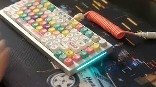 GMMK Pro Silk Emerald Switches Typing Test Sounds ASMR [upl. by Dilly]