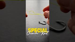 Special Clinch Knot How to Tie the Strongest Clinch Knot [upl. by Noinatrad]