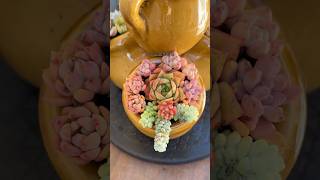 DIY Succulent Centerpiece Easy amp Inexpensive🪴succulents suculentasdiy [upl. by Schacker]