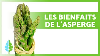 BIENFAITS des ASPERGES 💚 Propriétés Comment les Manger et Contreindications [upl. by Tod]