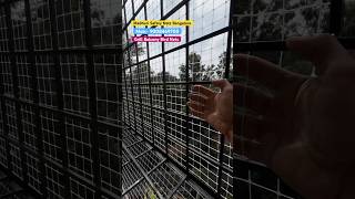 Balcony Safety Nets In Bangalore  Pigeon Nets Hoodi  9008469700  Madhuri Safety Nets shorts [upl. by Chiquia]