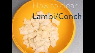 ❤ Love For Haitian Food  Episode 3  How to clean ConchLambi [upl. by Phila]