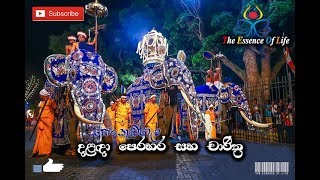 දළඳා පෙරහැර සහ චාරිත්‍ර  Dalada Perahera [upl. by Reviere]