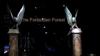 Forbidden Forest Harry Potter Studios London [upl. by Ysset]