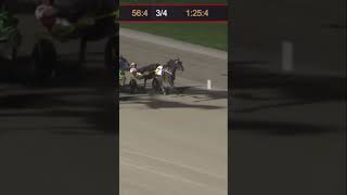 Shamrock wins Open II at Northfield Oark harnessracing shorts [upl. by Teyut566]