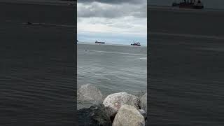 Chillin’ out in Kitsilano Beach beach vancouver canada travel adventure youtubeshorts [upl. by Lorelle]