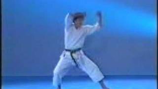 Shotokan Kata  Heian Nidan [upl. by Mcgruter]