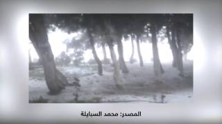 مشاهد لتساقط وتراكم الثلوج في الرشادية صباح الأحد 1242015 [upl. by Daniell]