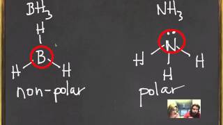 Polarity in VSEPR Shapes [upl. by Ahsatak]