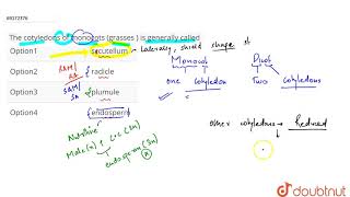 The cotyledons of monocots grasses  is generally called [upl. by Sloan763]