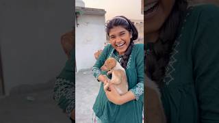 Chote puppy ka ilaj 😨 vlog 176 minivloging tranding ashortaday [upl. by Assilat]