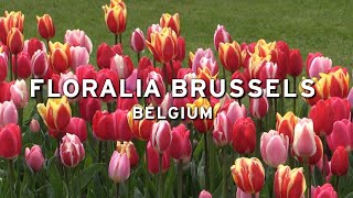 🇧🇪 Floralia Brussels  Grand Bigard  Belgium [upl. by Dong729]