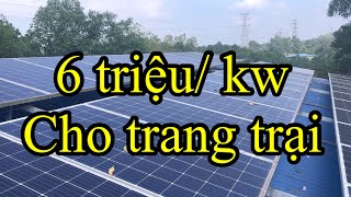 Điện mặt trời cho trang trại 6 triệu1 kw 2 năm hòa vốn [upl. by Hajar]