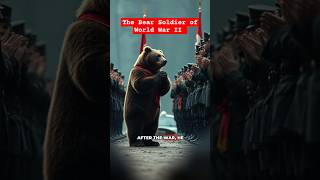 Wojtek The Bear Soldier of World War II history facts shorts [upl. by Ttereve]