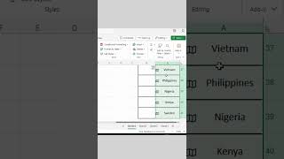 اضافة اعلام الدول علي برنامج الاكسل😱💚 excel اكسبلور exceltips exceltricks اكسل اوفيس ترند [upl. by Mikel420]