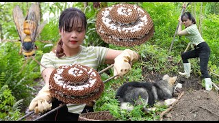 New idea Experiment on raising giant hornet to harvest pupae is a type of killer and dangerous bee [upl. by Eelyek]