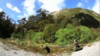 Milford Track  quotThe Finest Walk in the Worldquot [upl. by Rois806]