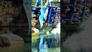 💦 Manta  SeaWorld Orlando rollercoaster themepark seaworld [upl. by Ellenwahs]