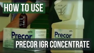 How to use Precor IGR Insect Growth Regulator Flea Spray [upl. by Einnig]