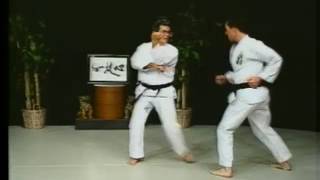 Naihanchi Bunkai Isshinryū Karate [upl. by Latrice]