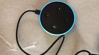 How to setup Alexa Echo Dot [upl. by Thin997]