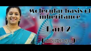 NEET MOLECULAR BASIS OF INHERITANCE PART2 DNA PACKAGINGCHARGAFFS RULE MALAYALAM [upl. by Ttezzil]