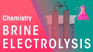 Electrolysis of Brine  Reactions  Chemistry  FuseSchool [upl. by Ashelman]