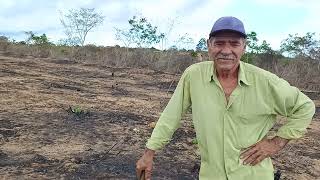 chegando no povoado do cercadinho conheci seu atevaldo cuidando de roça município de conquista Bahia [upl. by Angie]