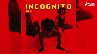 Blair amp The KVG  Incognito Official Audio  Soca 2025 [upl. by Eirojram]