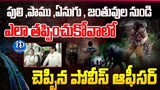 గాండ్రించే పులి ఓ వైపుప్రాణభయంతో జింకలు మరో వైపుఅమ్రాబాద్ అడవుల్లో Amrabad Tiger Reserve [upl. by Deering]