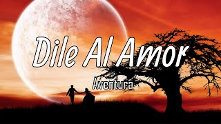 Aventura  Dile Al Amor LetraLyrics [upl. by Carbo]