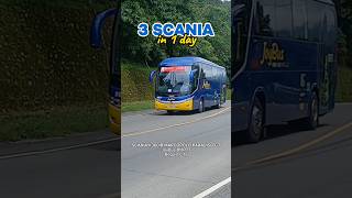 SPOTTED 3 Scania Buses bus busspotting genesisbus joybus scania shorts shortsvideo [upl. by Claudianus]