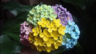 Quilling Hydrangea Flower Tutorial  DIY Paper Hydrangea Flower Tutorial [upl. by Bulley]