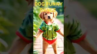 DOG FUNNY DANCE 😀shorts doglover [upl. by Vashtee895]