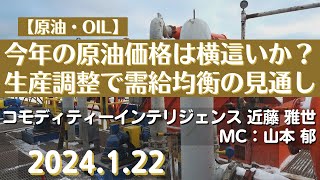 今年の原油価格は横這いか？～生産調整で需給均衡の見通し【原油】24122商品先物投資情報GoldTVnet [upl. by Florencia136]