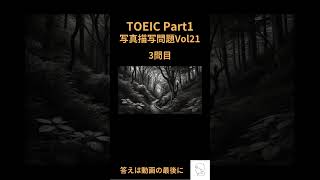 【TOEIC Part1】リスニング問題写真描写Vol21 toeic toeicpart1 toeic対策 toeicリスニング [upl. by Enitsirc]