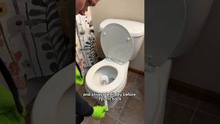 5 Toilet Cleaning Tips  Day 8 Spring Cleaning Spree 2024 cleaning clean howto [upl. by Aurie]