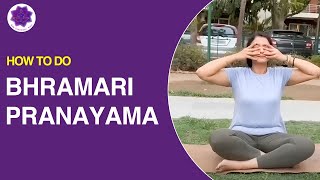 How To Do Bhramari Pranayama  StepbyStep Guide [upl. by Annatnas]