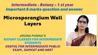 Intermediate 1st year BOTANY  Microsporangium wall layers in English Medium By Aruna Punna [upl. by Arabella374]