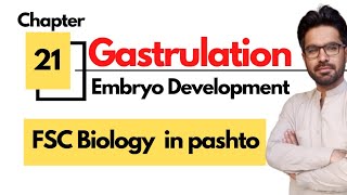 Gastrulation  Development of human embryo  12 biology in pashto [upl. by Braun166]