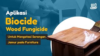 Aplikasi BioCide Wood Fungicide pada Rak Buku Minimalis untuk Mencegah Jamur [upl. by Otrebtuc150]