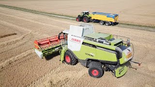 Moisson 2021  Claas Lexion 750 dans lOrge en CharenteMaritime [upl. by Dorran]