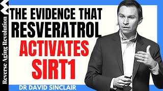 The Evidence That Resveratrol Activates SIRT1  Dr David Sinclair Interview Clips [upl. by Alletse]