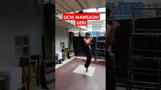 Uchi Mawashi Geri or inside Roundhouse Kick karatetechniques martialarts [upl. by Lepp950]